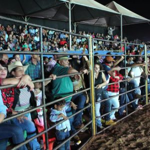 IMG_1736 (Copy) IMG_1736 (Copy)