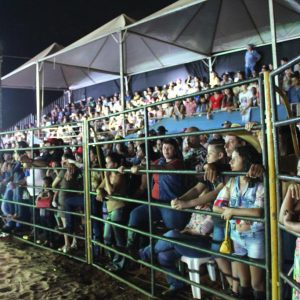 IMG_1738 (Copy) IMG_1738 (Copy)