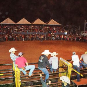 IMG_1867 (Copy) IMG_1867 (Copy)