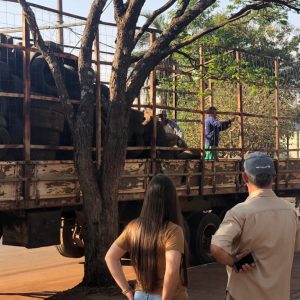 WhatsApp Image 2019-09-17 at 09.41.33 WhatsApp Image 2019-09-17 at 09.41.33