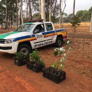 Blitz educativa faz parte das comemorações do Dia da Árvore em Santa Vitória