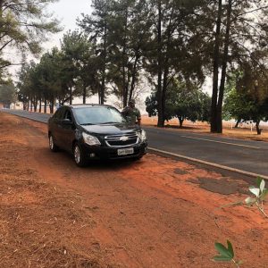 Blitz educativa faz parte das comemorações do Dia da Árvore em Santa Vitória