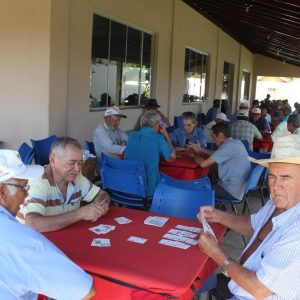 IMG_2996 (Copy) IMG_2996 (Copy)