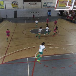 IMG_4784 (Copy) IMG_4784 (Copy)