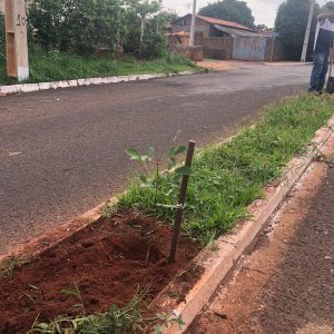 IMG-20191121-WA0212 IMG-20191121-WA0212