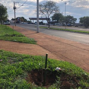 IMG-20191121-WA0213 IMG-20191121-WA0213