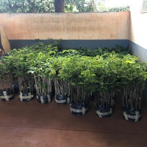 IMG-20191121-WA0215 IMG-20191121-WA0215