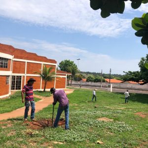 IMG-20191121-WA0217 IMG-20191121-WA0217