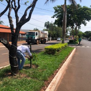 IMG-20191121-WA0221 IMG-20191121-WA0221