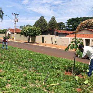 IMG-20191121-WA0222 IMG-20191121-WA0222