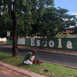 IMG-20191121-WA0223 IMG-20191121-WA0223