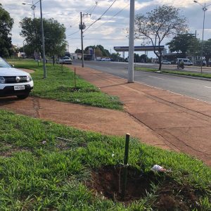 IMG-20191121-WA0224 IMG-20191121-WA0224