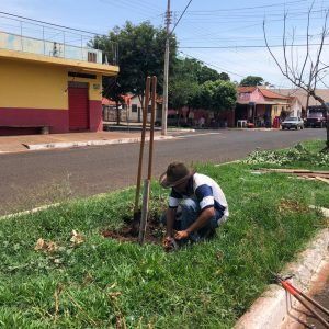 IMG-20191121-WA0226 IMG-20191121-WA0226