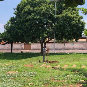 IMG-20191121-WA0227 IMG-20191121-WA0227