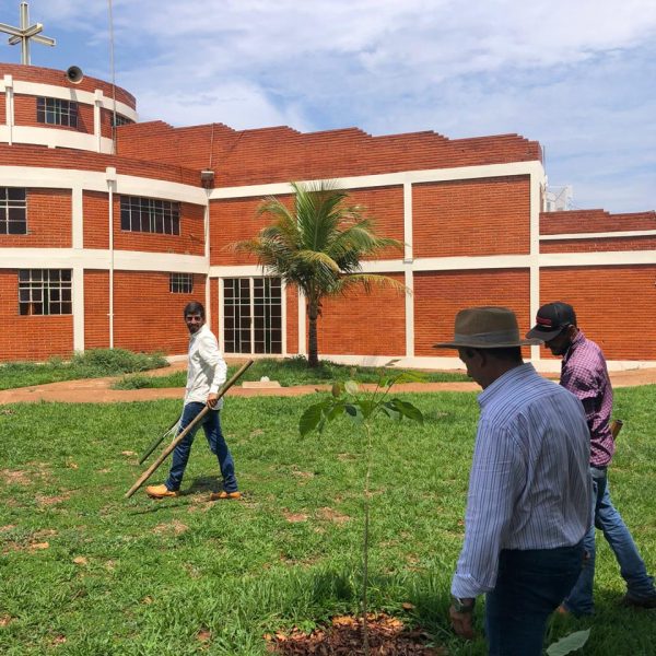 IMG-20191121-WA0233 IMG-20191121-WA0233