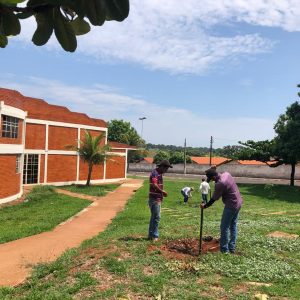 IMG-20191121-WA0236 IMG-20191121-WA0236