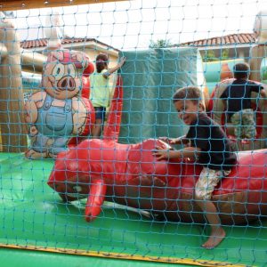 IMG-20191221-WA0029 IMG-20191221-WA0029