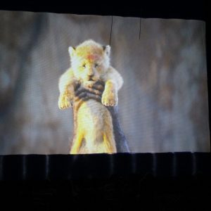 IMG-20191224-WA0019 IMG-20191224-WA0019