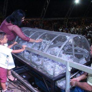 IMG-20200102-WA0050 IMG-20200102-WA0050