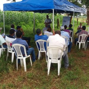 Tarde de Campo do II Circuito Agropecuário 2020 – da EMATER-MG Regional de Uberlândia é realizada com sucesso em Santa Vitória (6) Tarde de Campo do II Circuito Agropecuário 2020 - da EMATER-MG Regional de Uberlândia é realizada com sucesso em Santa Vitória (6)