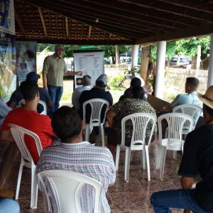 Tarde de Campo do II Circuito Agropecuário 2020 – da EMATER-MG Regional de Uberlândia é realizada com sucesso em Santa Vitória (7) Tarde de Campo do II Circuito Agropecuário 2020 - da EMATER-MG Regional de Uberlândia é realizada com sucesso em Santa Vitória (7)