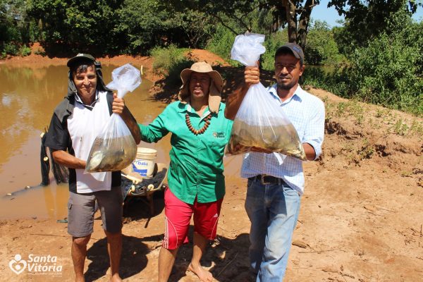 Parceria incentiva à criação de tilápia como atividade alternativa em Santa Vitória-min