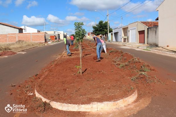 Funcionários realizam o rebaixamento do canteiro, retiram as ervas daninhas e pragas e em seguida efetuam o plantio da grama