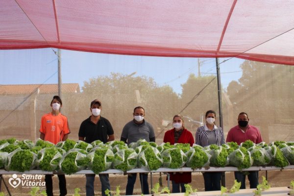Empresários de horta doam alface para o CRAS (1)