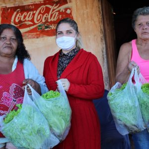 Empresários de horta doam alface para o CRAS (2) Empresários de horta doam alface para o CRAS (2)