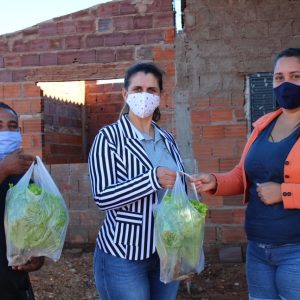 Empresários de horta doam alface para o CRAS (5) Empresários de horta doam alface para o CRAS (5)