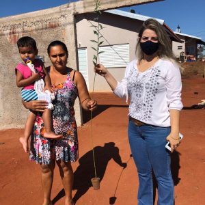 Mudas de crotalária são distribuídas para ajudar no combate à dengue em Santa Vitória (7)