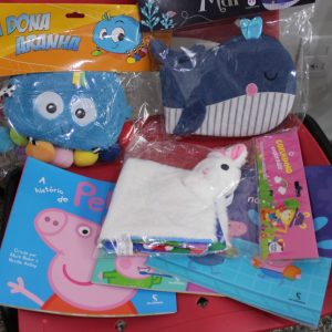 Bibliotecas Infantis são adquiridas para CEMEIS E Creche (16) Bibliotecas Infantis são adquiridas para CEMEIS E Creche (16)