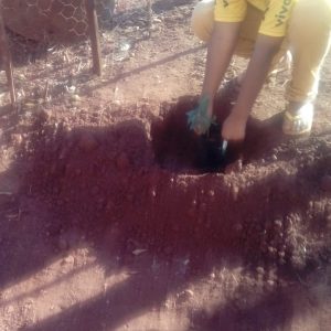 Crianças aprendem a preservar o meio ambiente plantando árvores (2)