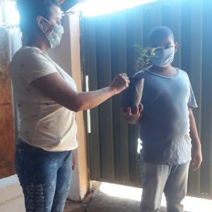 Crianças aprendem a preservar o meio ambiente plantando árvores (3)