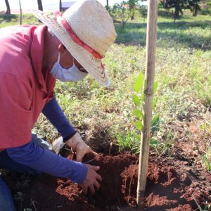 IMG-20200608-WA0017 IMG-20200608-WA0017