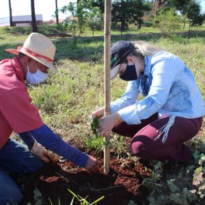 IMG-20200608-WA0018 IMG-20200608-WA0018