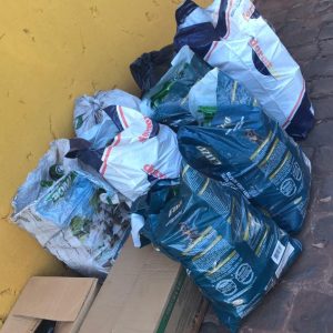 IMG-20200608-WA0023 IMG-20200608-WA0023