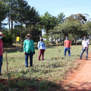 IMG-20200608-WA0027 IMG-20200608-WA0027