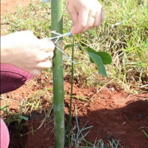 IMG-20200608-WA0028 IMG-20200608-WA0028