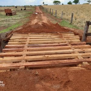 Catingueira Catingueira