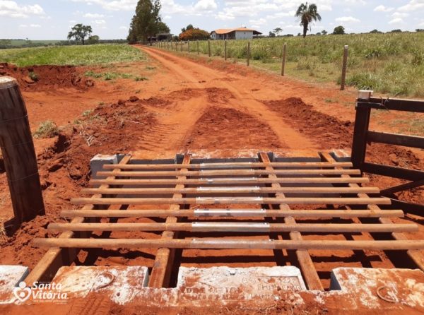 Mais 43 mata-burros são recuperados na zona rural de Santa Vitória