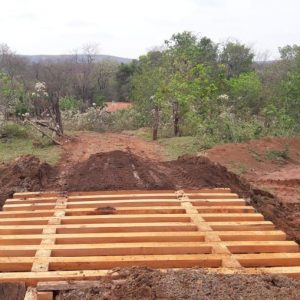 Pastinho 1 Pastinho 1