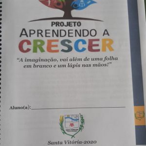 Projeto Aprendendo a Crescer de Santa Vitória e Chaveslândia encerram atividades do ano de 2020 (14)