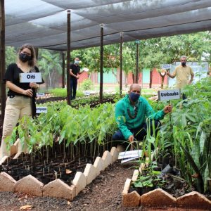 Revitalização e modernização do viveiro municipal em parceria com a ARPA-SV (3) Revitalização e modernização do viveiro municipal em parceria com a ARPA-SV (3)