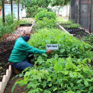 Revitalização e modernização do viveiro municipal em parceria com a ARPA-SV (5) Revitalização e modernização do viveiro municipal em parceria com a ARPA-SV (5)