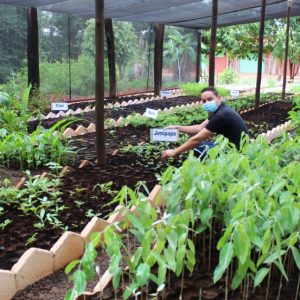 Revitalização e modernização do viveiro municipal em parceria com a ARPA-SV (7) Revitalização e modernização do viveiro municipal em parceria com a ARPA-SV (7)