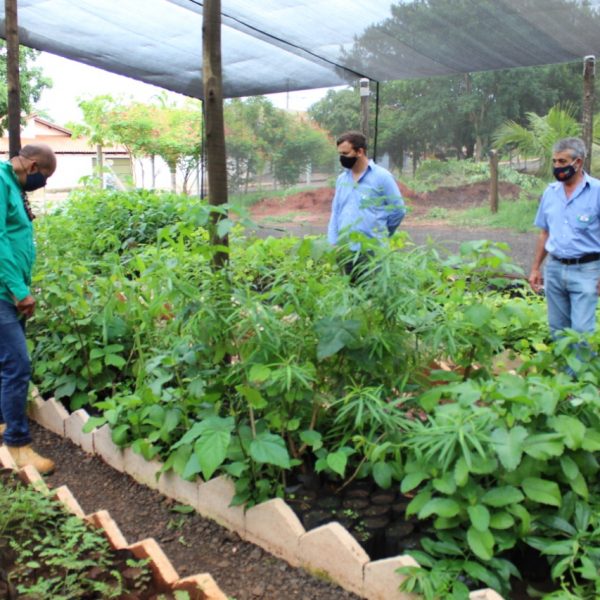 Revitalização e modernização do viveiro municipal em parceria com a ARPA-SV (8) Revitalização e modernização do viveiro municipal em parceria com a ARPA-SV (8)
