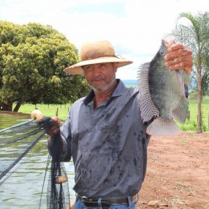 Secretaria de Meio Ambiente e Pesca apresenta primeiros resultados da produção de pescados com aproveitamento dágua de irrigação de pasto (5) Secretaria de Meio Ambiente e Pesca apresenta primeiros resultados da produção de pescados com aproveitamento dágua de irrigação de pasto (5)