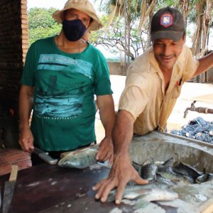 Secretaria de Meio Ambiente e Pesca apresenta primeiros resultados da produção de pescados com aproveitamento dágua de irrigação de pasto (8) Secretaria de Meio Ambiente e Pesca apresenta primeiros resultados da produção de pescados com aproveitamento dágua de irrigação de pasto (8)