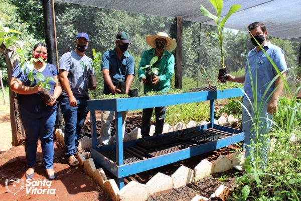 Viveiro Municipal disponibiliza mudas gratuitas e orientações sobre o uso correto da compostagem (1)
